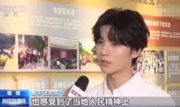 王俊凯实名爆料视频,揭秘娱乐圈背后真相